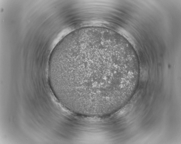 X0000088180994200706051137