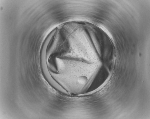 X0000088180996200706051137