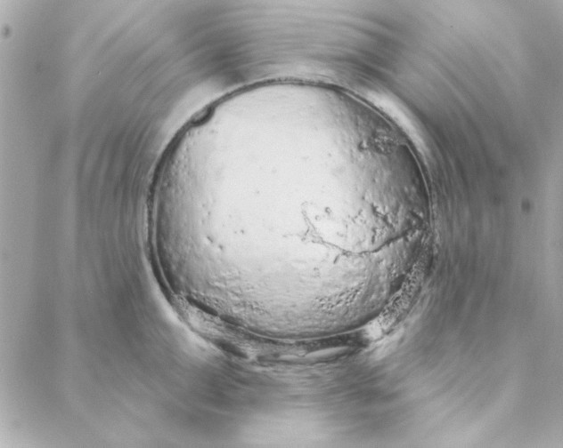 X0000088180999200706051137