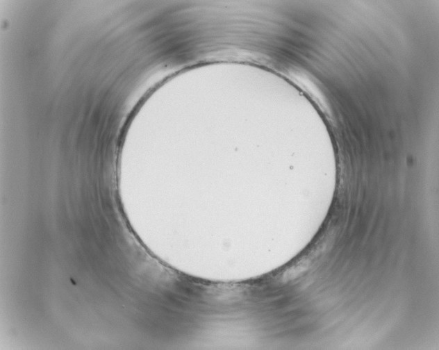 X0000088181000200706051137