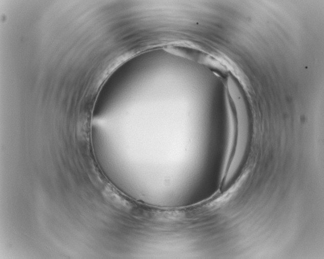 X0000088181001200706051137