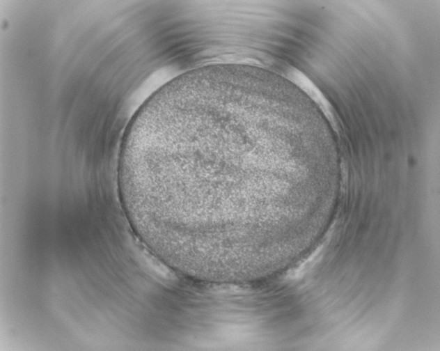 X0000088181002200706051137