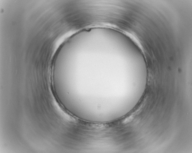 X0000088181003200706051137