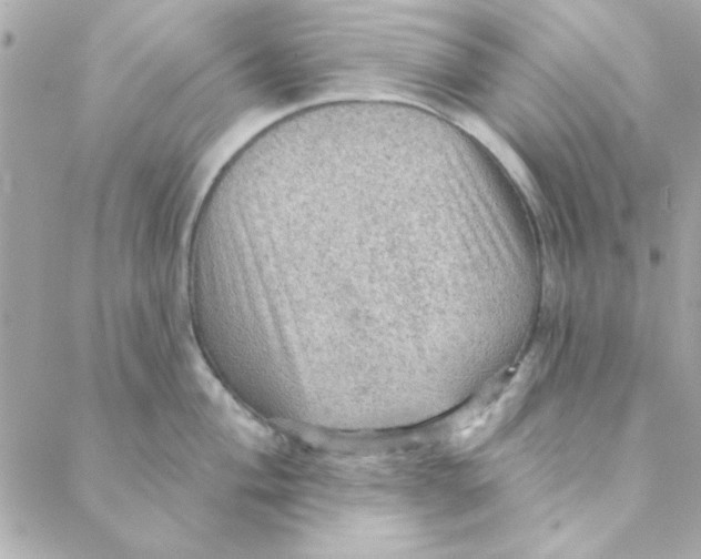 X0000088181004200706051137