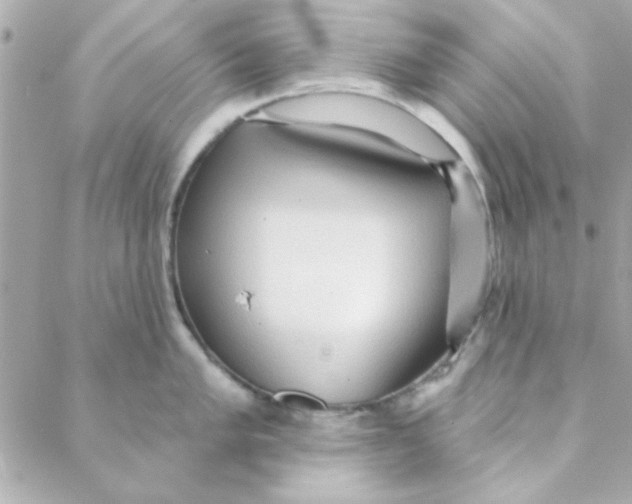 X0000088181005200706051137