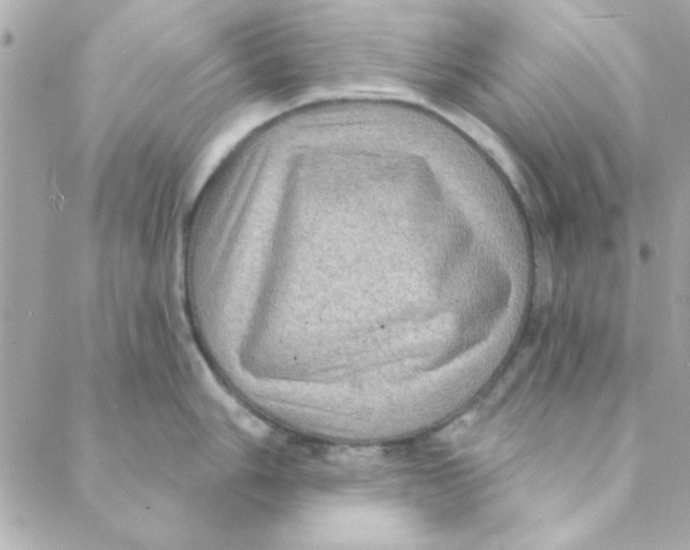 X0000088181006200706051137