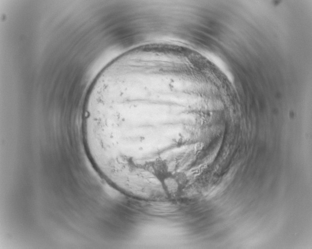 X0000088181007200706051137