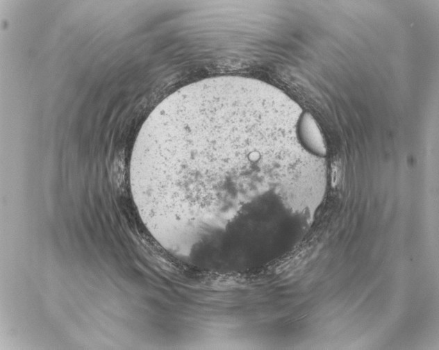 X0000088181011200706051136