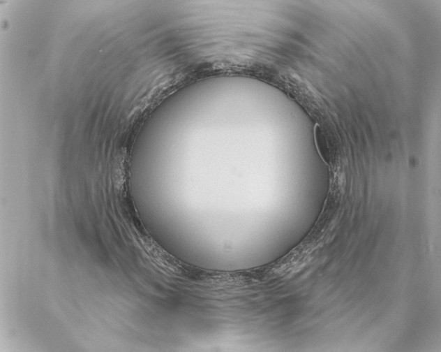 X0000088181012200706051136