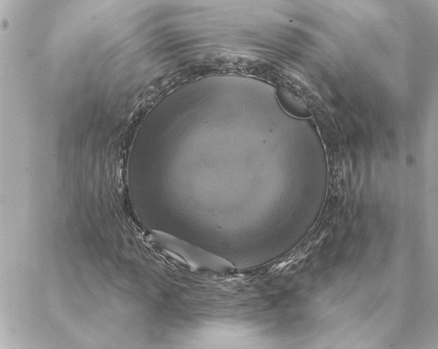 X0000088181013200706051136