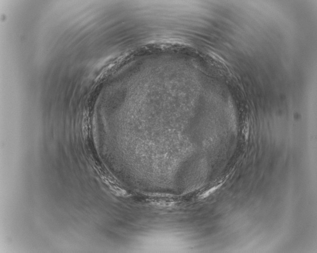 X0000088181014200706051136