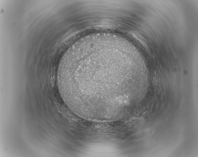 X0000088181015200706051136