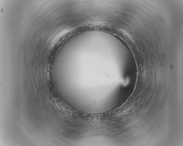 X0000088181016200706051136