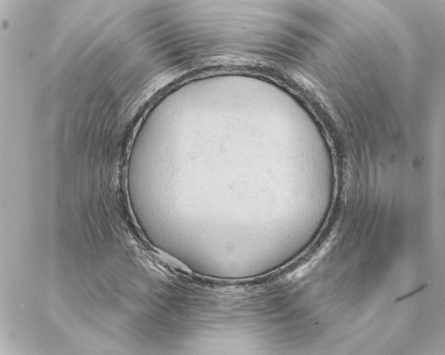 X0000088181017200706051136