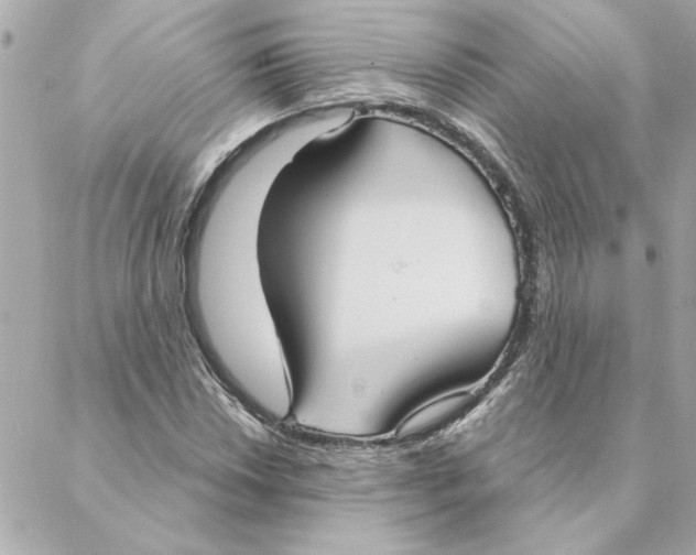 X0000088181018200706051136