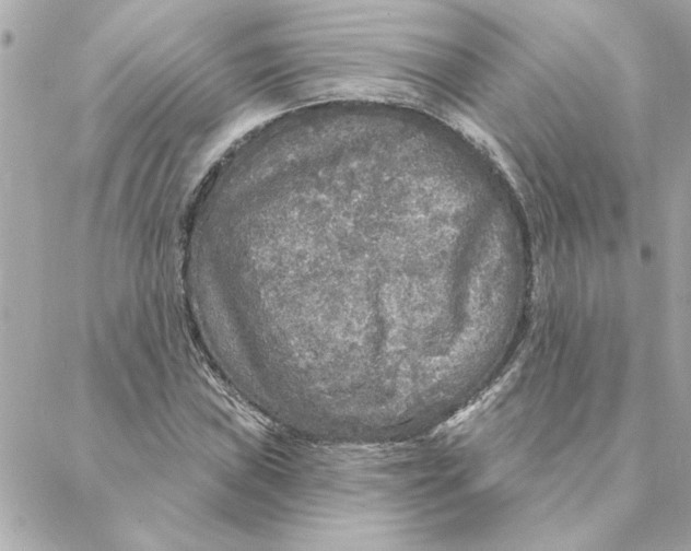 X0000088181019200706051136