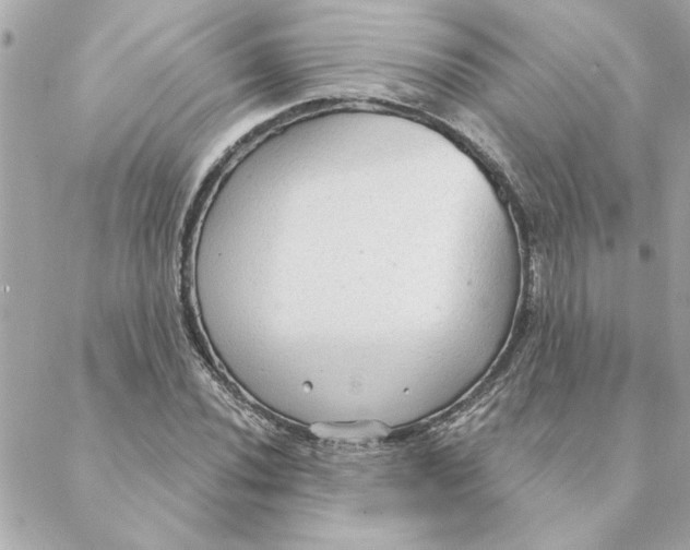 X0000088181020200706051136