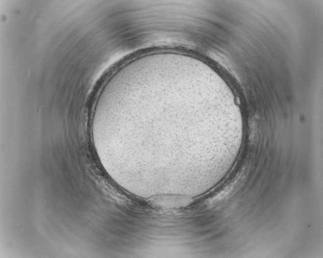 X0000088181021200706051136