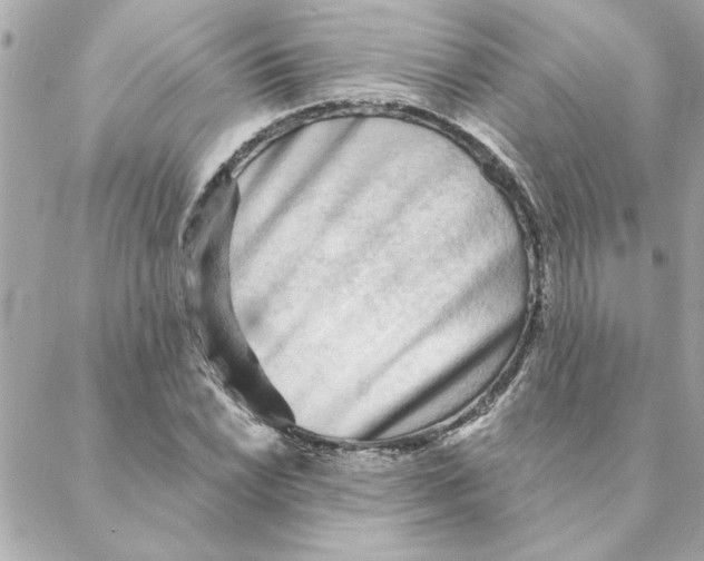 X0000088181022200706051136