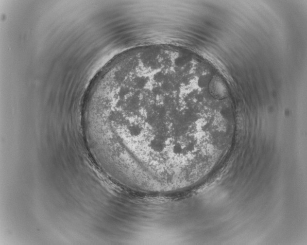 X0000088181023200706051136