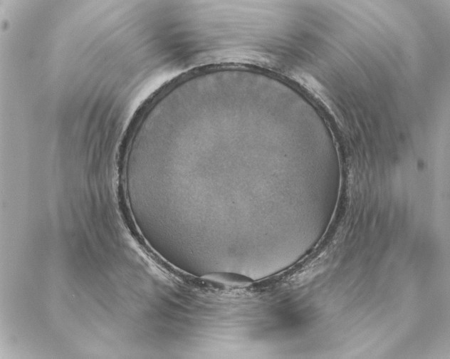 X0000088181024200706051136