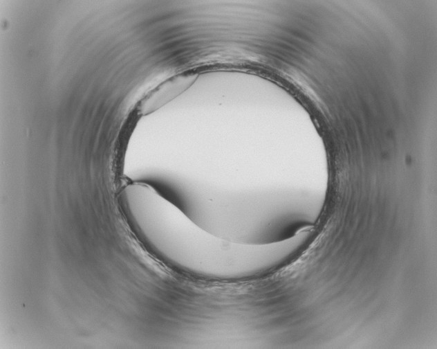 X0000088181026200706051136