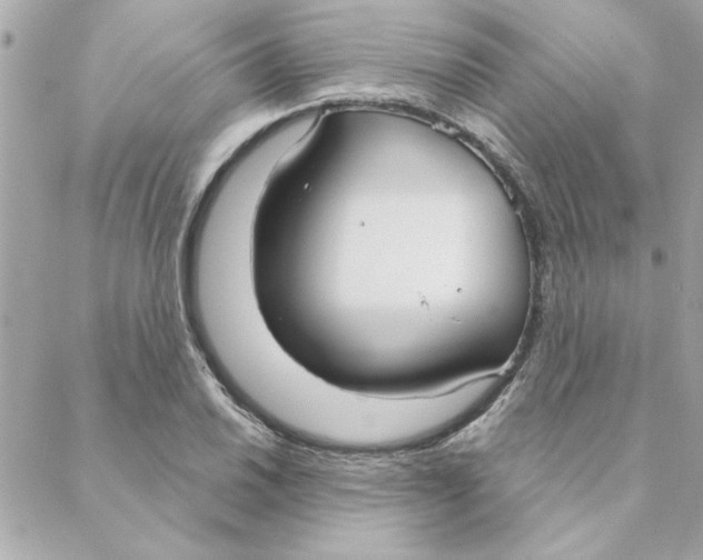 X0000088181030200706051136