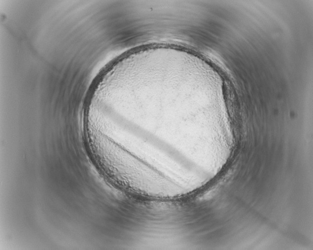 X0000088181032200706051136