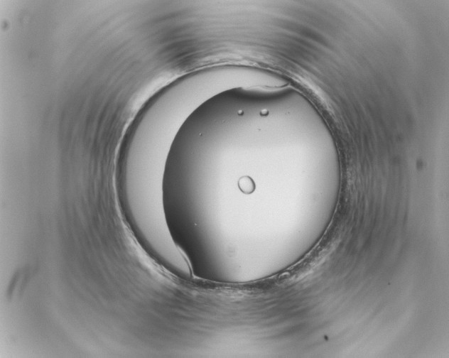 X0000088181034200706051136