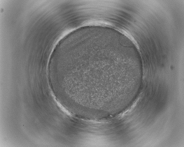 X0000088181037200706051136