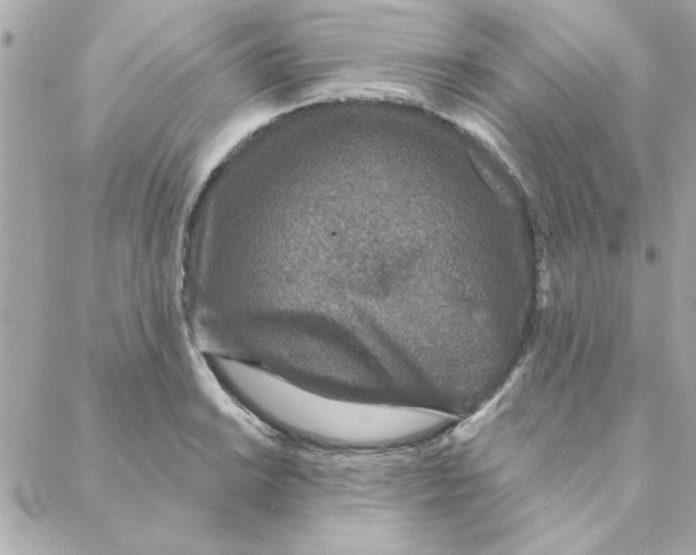 X0000088181038200706051136