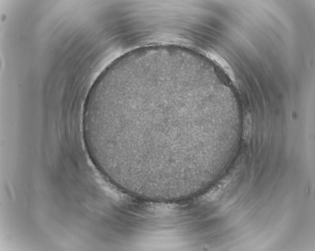 X0000088181039200706051136