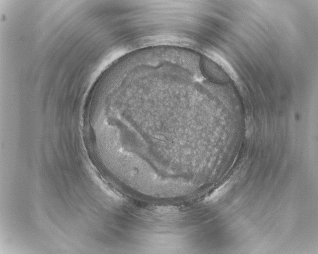 X0000088181043200706051136