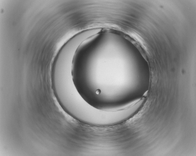 X0000088181046200706051137