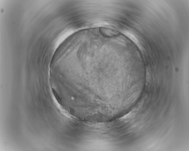 X0000088181047200706051137