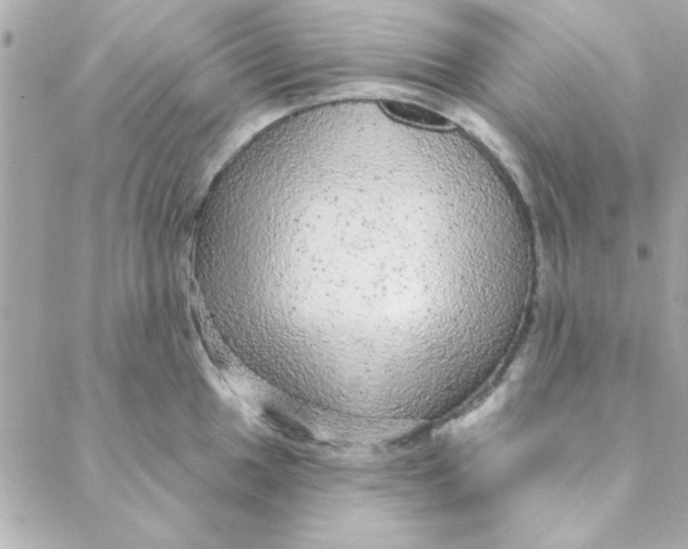 X0000088181049200706051137