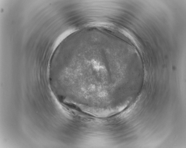 X0000088181050200706051137