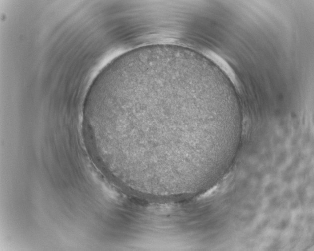 X0000088181051200706051137