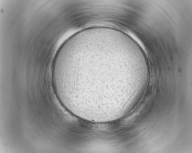 X0000088181053200706051137