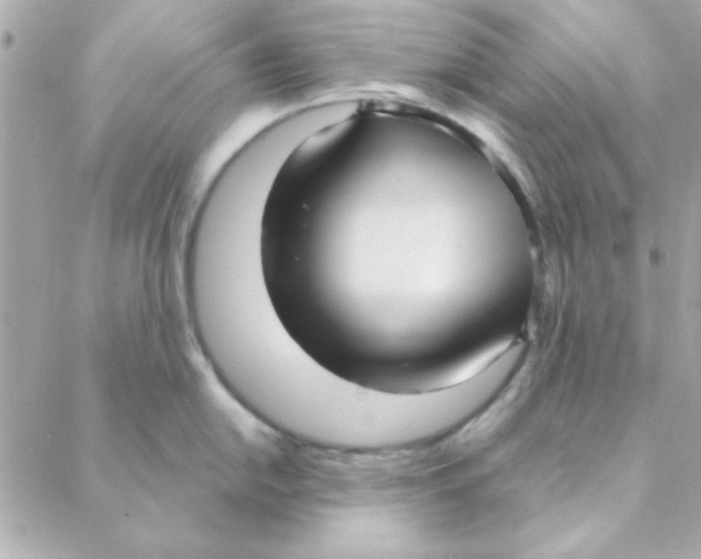 X0000088181054200706051137