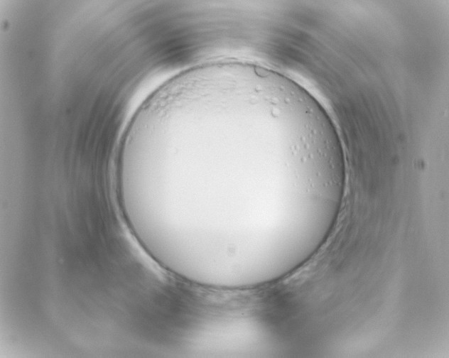 X0000088181056200706051137