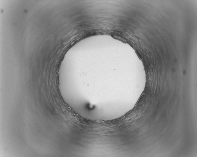 X0000088181057200706051136