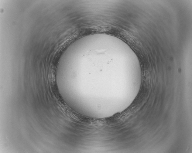 X0000088181058200706051136