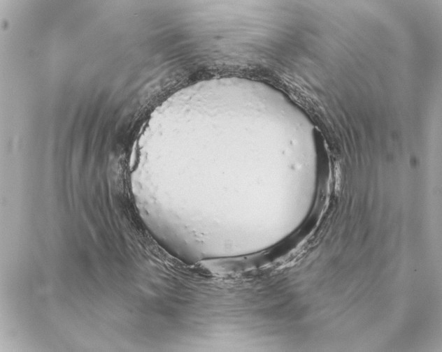 X0000088181059200706051136