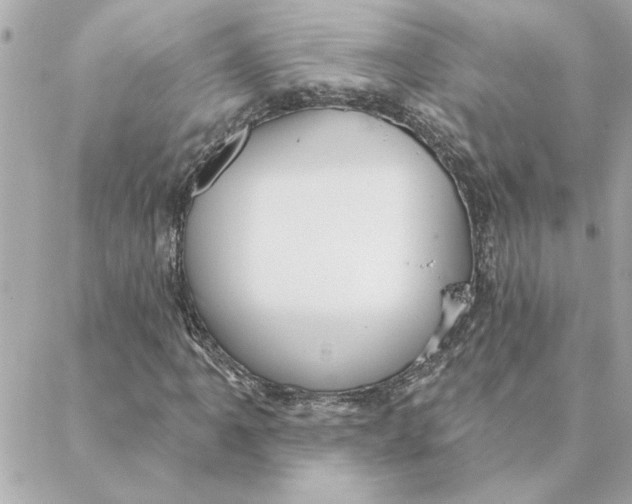 X0000088181061200706051136