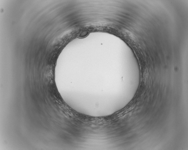 X0000088181062200706051136