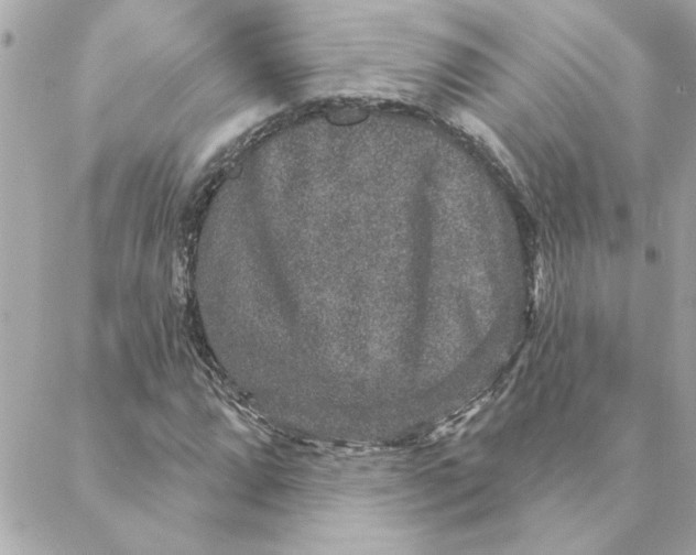 X0000088181064200706051136