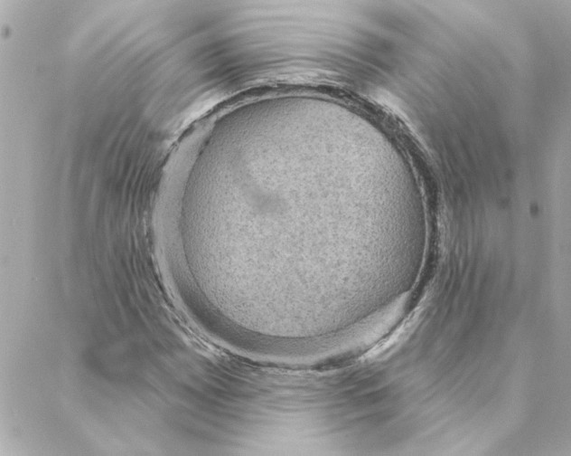 X0000088181065200706051136