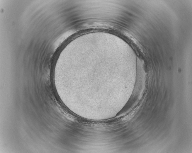 X0000088181066200706051136