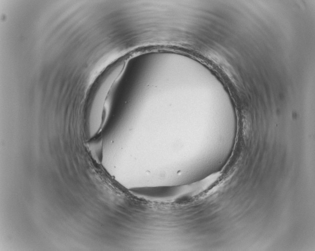 X0000088181069200706051136